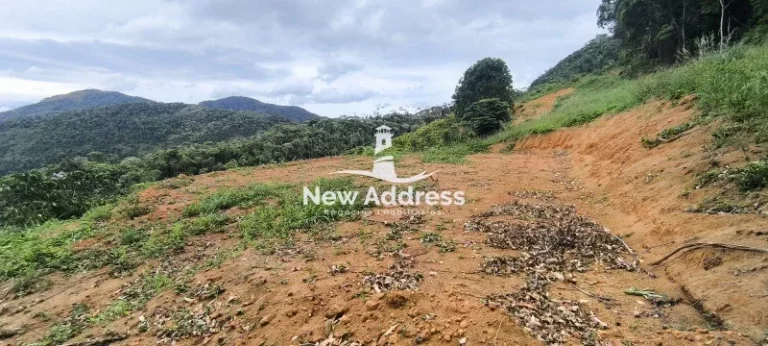 Terreno com 10.000 m² à Venda - Santa Leopoldina