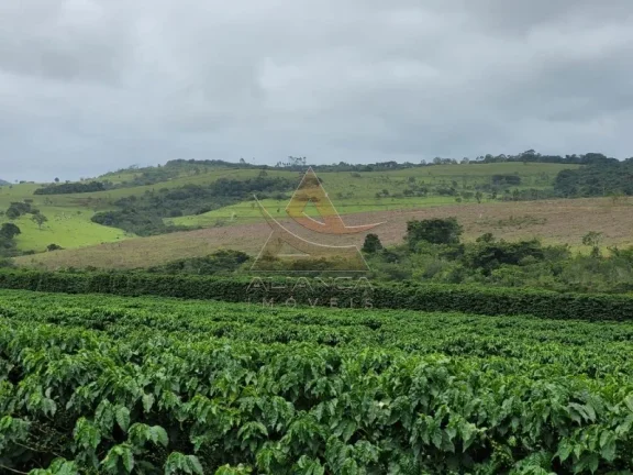 Imagem Fazenda - Santo Antônio do Amparo - Zona Rural