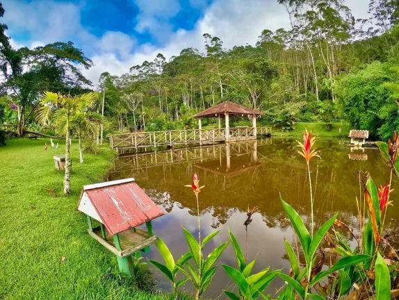 Imagem SITIO RURAL em SANTA TERESA - ES, SANTA TERESA