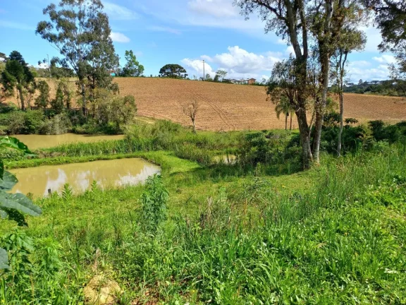 Imagem Chácara para Venda em Quitandinha, Zona Rural