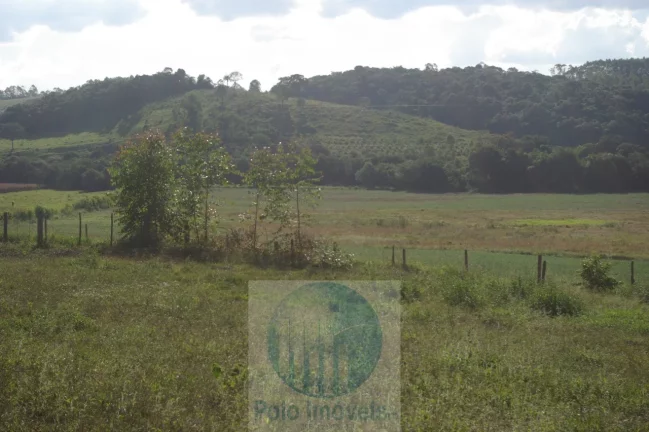Imagem Sítio 13,5 alqueires R$ 150.000 valor do alqueire, excelente estrutura, planta milho, soja, tem 2.000 pés de mexerica - Jacuí - Minas Gerais