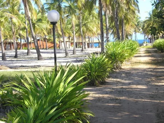 Imagem BUSCA VIDA - FRONTAL MAR - 26.392,00m2 DE ÁREA PLANA EM FRENTE AO CHARMOSO MAR DE BUSCA VIDA, PÉ NA AREIA. 100m DE TESTADA MAR