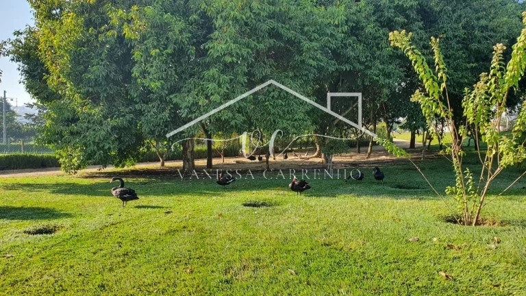 Imagem Venda Terreno | Vanessa Carrenho