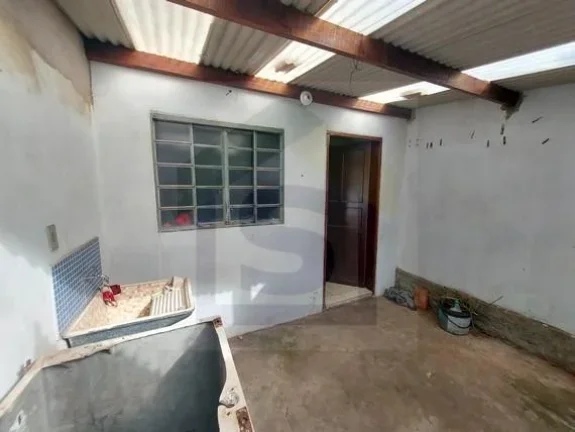 Imagem CA3971 - Cedro - Botucatu 5 x 25