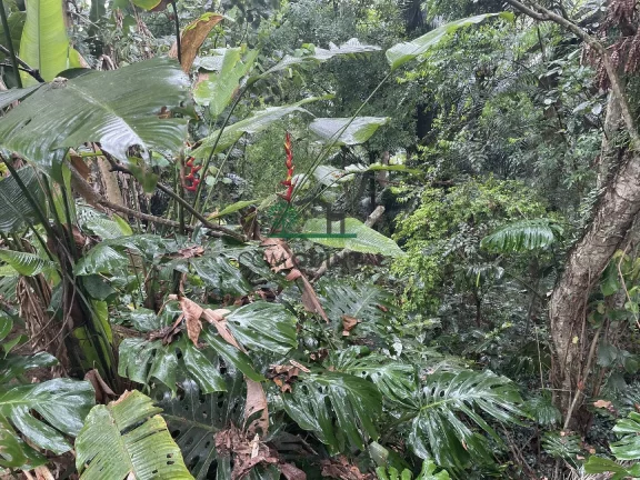 Imagem Terreno à Venda, 1.100 m² em Recanto Inpla - Carapicuíba