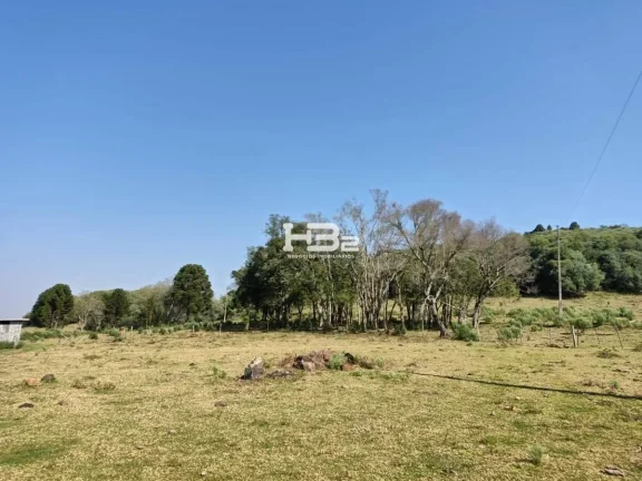 Imagem ÁREA A VENDA BOM JESUS DIVISA MONTE ALEGRE DOS CAMPOS RS