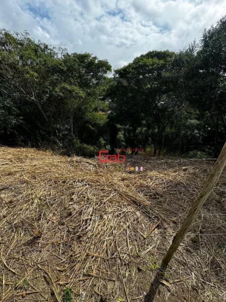 Imagem Terreno à venda, 1768 m² por R$ 620.000,00 - Altos de Búzios - Armação dos Búzios/RJ
