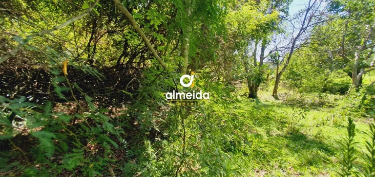 Imagem BELA AREA A VENDA