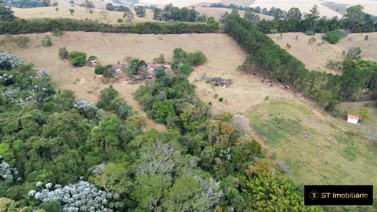 Imagem Sítio com Ótimo Acesso Asfaltado Atibaia 8 Alqueires