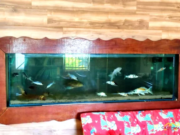 Imagem Chácara a Venda 4 Quartos/suíte - Parque Espelho d Água - Jundiaí - São Paulo