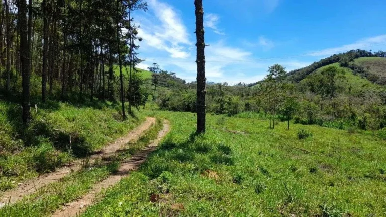 Imagem Fazenda à venda em Barbacena, Correia de Almeida, com 4 quartos, 53ha