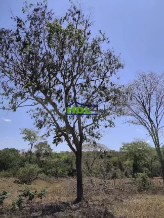 Imagem Chácara 3,1 Hectares com Córrego 90 kms de Goiânia