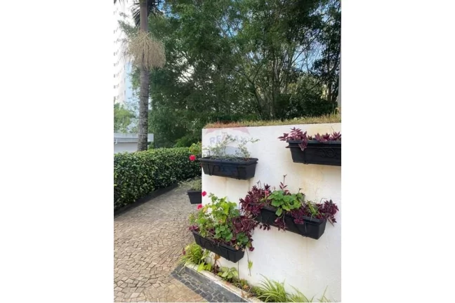 Imagem Excepcional apartamento de 3 dormitórios (1 suíte) na tranquila e arborizada Vila Indiana