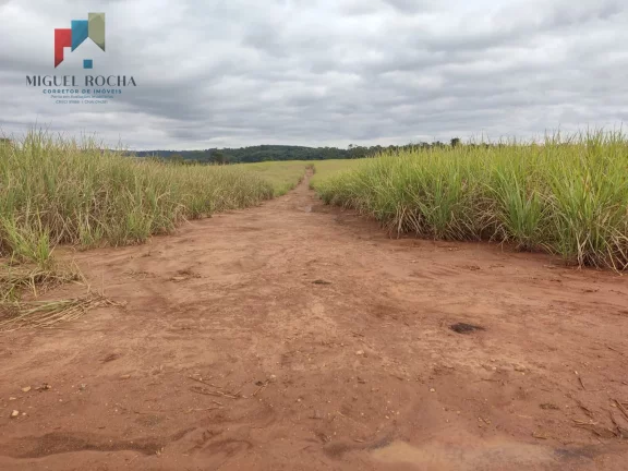 Imagem Fazenda região de Tatuí SP
