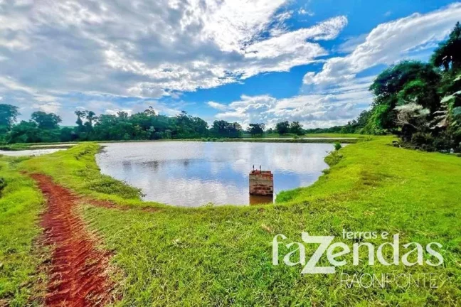 Imagem Fazenda à Venda, 187.200 m² em Vila Nova - Toledo