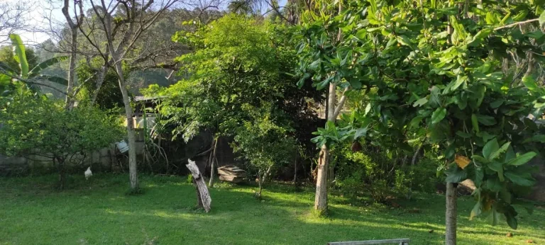 Imagem OPORTUNIDADE !!!! LINDA CHÁCARA PARA VENDA, BAIRRO ROSEIRA, JUNDIAÍ SP,