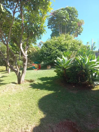 Imagem CHÁCARA COM CASA SEDE - PISCINA - EXCELENTE OPORTUNIDADE