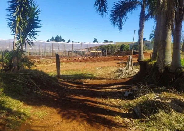 Imagem SITIO RURAL em PITANGA - PR, Rural