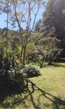 Imagem Terreno Comercial para Venda em Nova Friburgo, Mury, 1 dormitório, 1 banheiro, 3 vagas