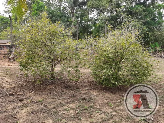 Imagem Sitio Estrada Belmont - 20.43 hectares