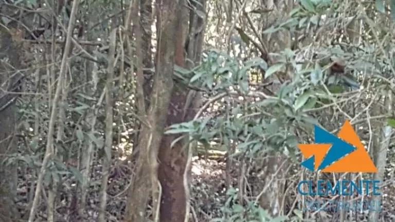 Imagem Lote no bairro Jardinaves,Nova Lima, Prox ao Condom. Olympus