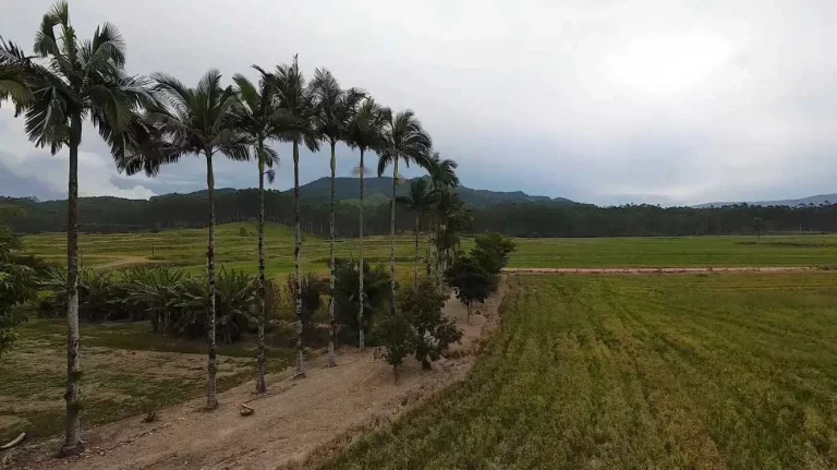 Imagem Sítio com 24.017,00m² com casa construída com 4 dormitórios 3 vagas em Ascurra/SC