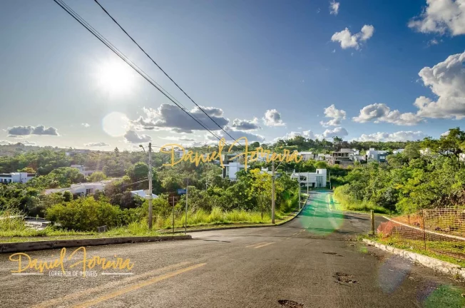 Imagem Lote já com projeto, sem vizinho de fundo