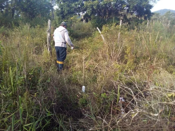 Imagem Terreno para Venda em Itanhaém, Aguapeú