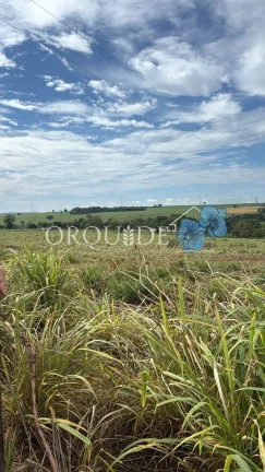 Fazenda à venda em Rio Verde-GO: 4,50 alqueires no Setor Central - Oportunidade única!