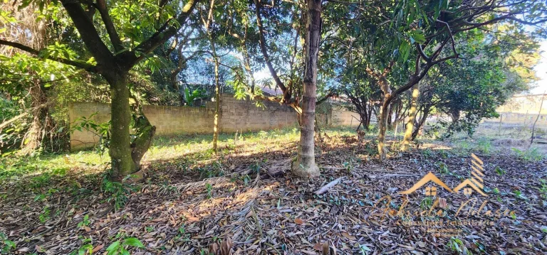 Imagem Chacara limpa em avenida Mogi Mirim