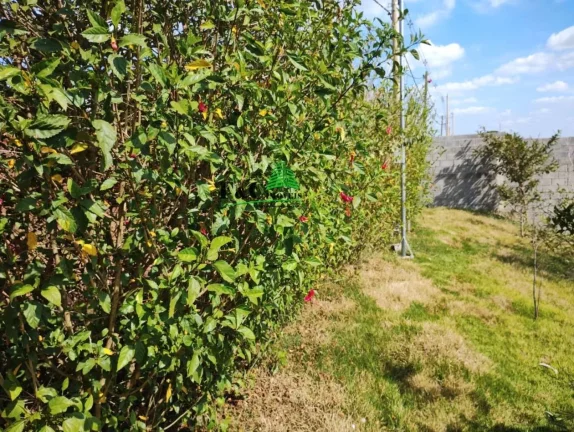 Imagem Terreno em Condomínio para Venda em Americana, Parque São Jerônimo