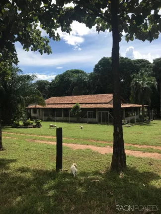 Imagem Fazenda à Venda, 46.464.000 m² em Zona Rural - Peixe