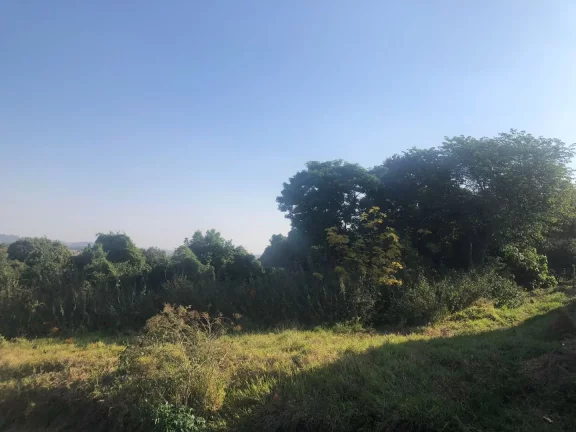 Imagem Terreno à venda, 442 m² por R$ 480.000,00 - Jardim República - São José dos Campos/SP