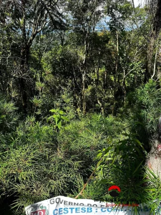 Imagem Terreno a Venda na Região da Cidade do Sol em Campos do Jordão -SP.