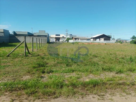 Imagem Refúgio na Natureza: Terreno no Morada das Palmeiras em Torres