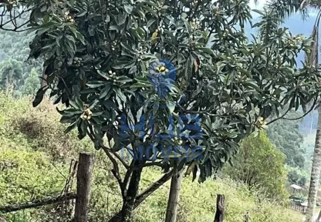 Imagem Sítio à venda, Anitápolis, Anitápolis, SC