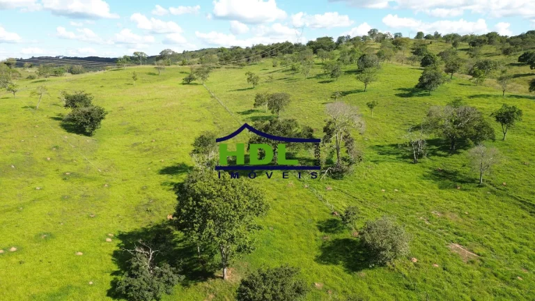 Imagem Chácara Top 4 Tanques de peixes 100 Kms de GoiâniaSão 4,3 alqs Casa simples, com pomar com muita ...