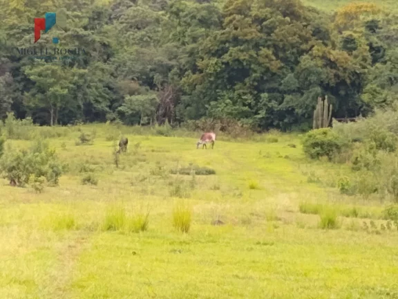Imagem Sítio em Centro, Quadra/SP