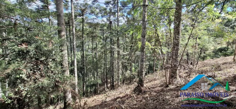 Imagem Seu Paraíso Particular a Passos da Cachoeira do Simão em Gonçalves!
