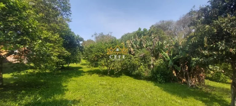 Imagem Chácara - Sítio com 4 Dormitorio(s) localizado(a) no bairro Rodeio Bonito em Três Coroas / RIO GRANDE DO SUL Ref.:1541