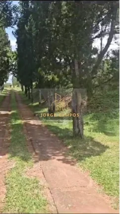 Imagem FA-25263 - FAZENDA À VENDA NA REGIÃO DE LORENA-SP