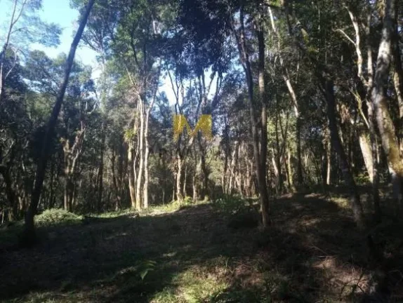 Imagem Chácara, 7000m2, à venda no Recreio da Serra em Piraquara!!!