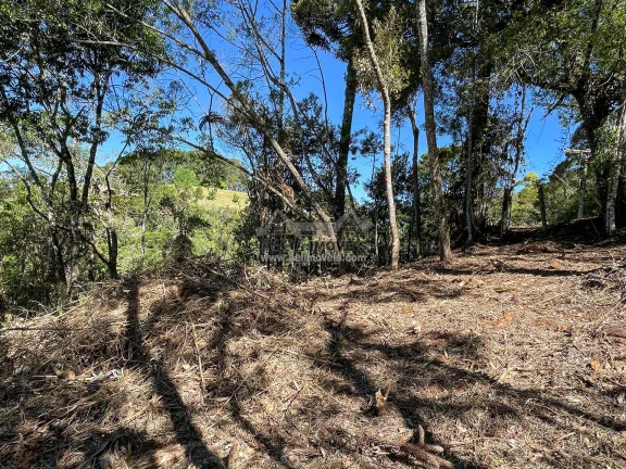 Imagem Terreno à venda em Campos do Jordão - Excelente opção para investimento