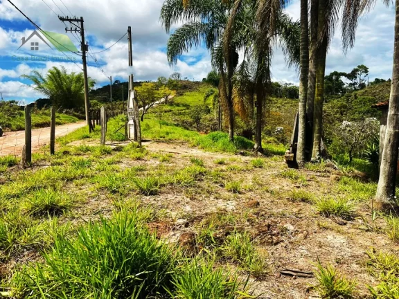Imagem Chácara com 2 Quartos à Venda, 36.000 m² em Sabaúna - Mogi Das Cruzes