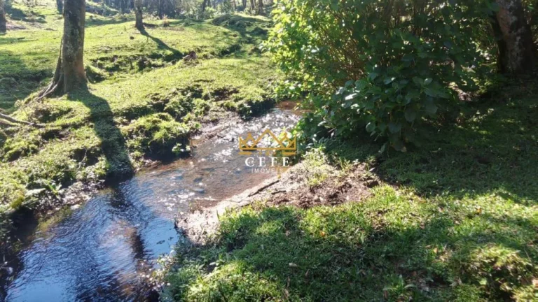 Imagem Chácara - Sítio com 1 Dormitorio(s) localizado(a) no bairro Ribeirão em São Francisco de Paula / RIO GRANDE DO SUL Ref.:1535