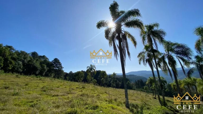 Imagem Chácara - Sítio com 2 Dormitorio(s) localizado(a) no bairro Zona Rural em Três Coroas / RIO GRANDE DO SUL Ref.:1390