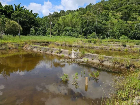 Imagem FAZENDA PECUARISTA À VENDA.