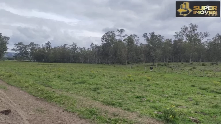 Imagem Fazenda Espetacular no Capão do Leão-RS próximo de Pelotas