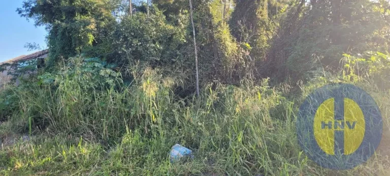 Imagem Terreno Plano de 600m² à Venda – Oportunidade Única para Construir