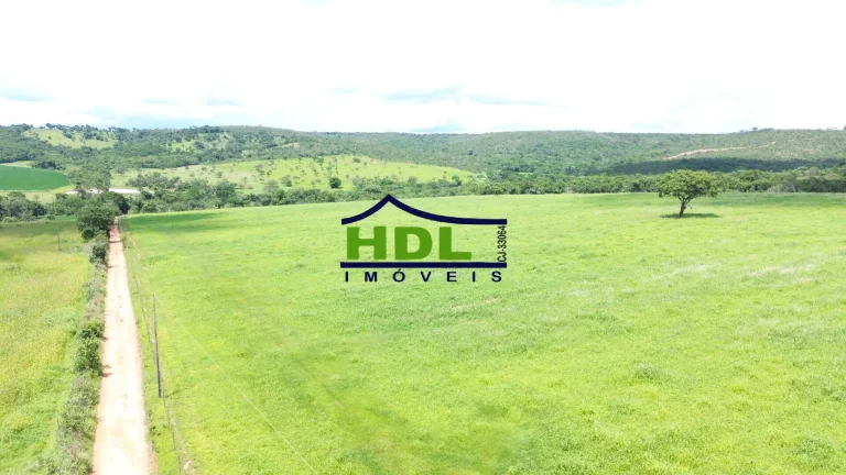 Imagem Chácara 5,5 alqs beira asfalto na Soja